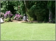 MATHIAS LOTH - Garten- und Landschaftsbau